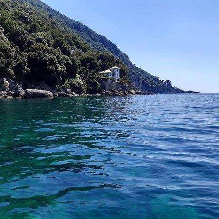 Villa Albachiara Camogli Eksteriør bilde