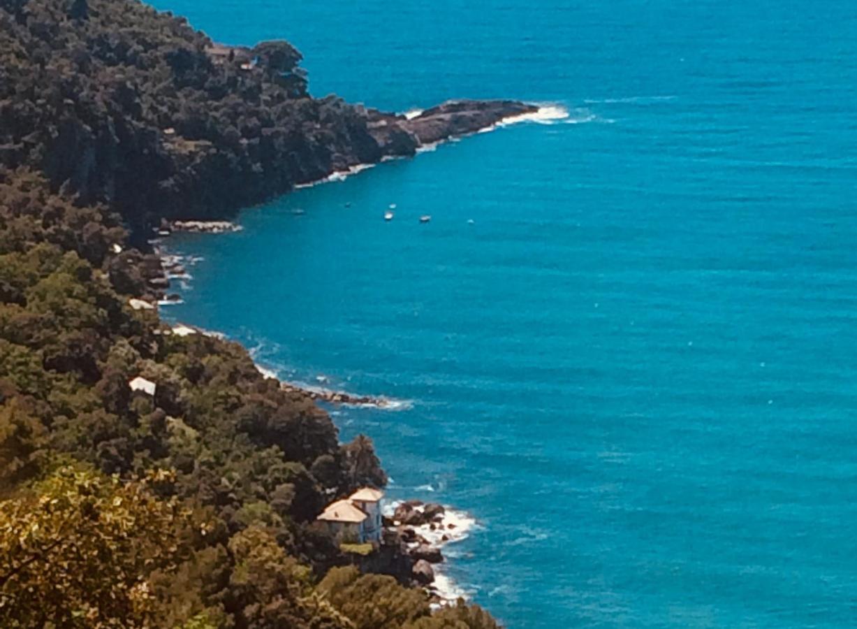 Villa Albachiara Camogli Eksteriør bilde