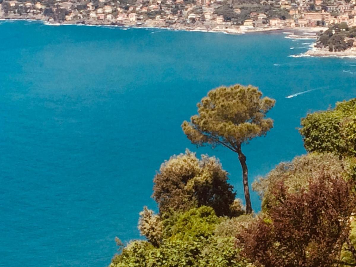 Villa Albachiara Camogli Eksteriør bilde