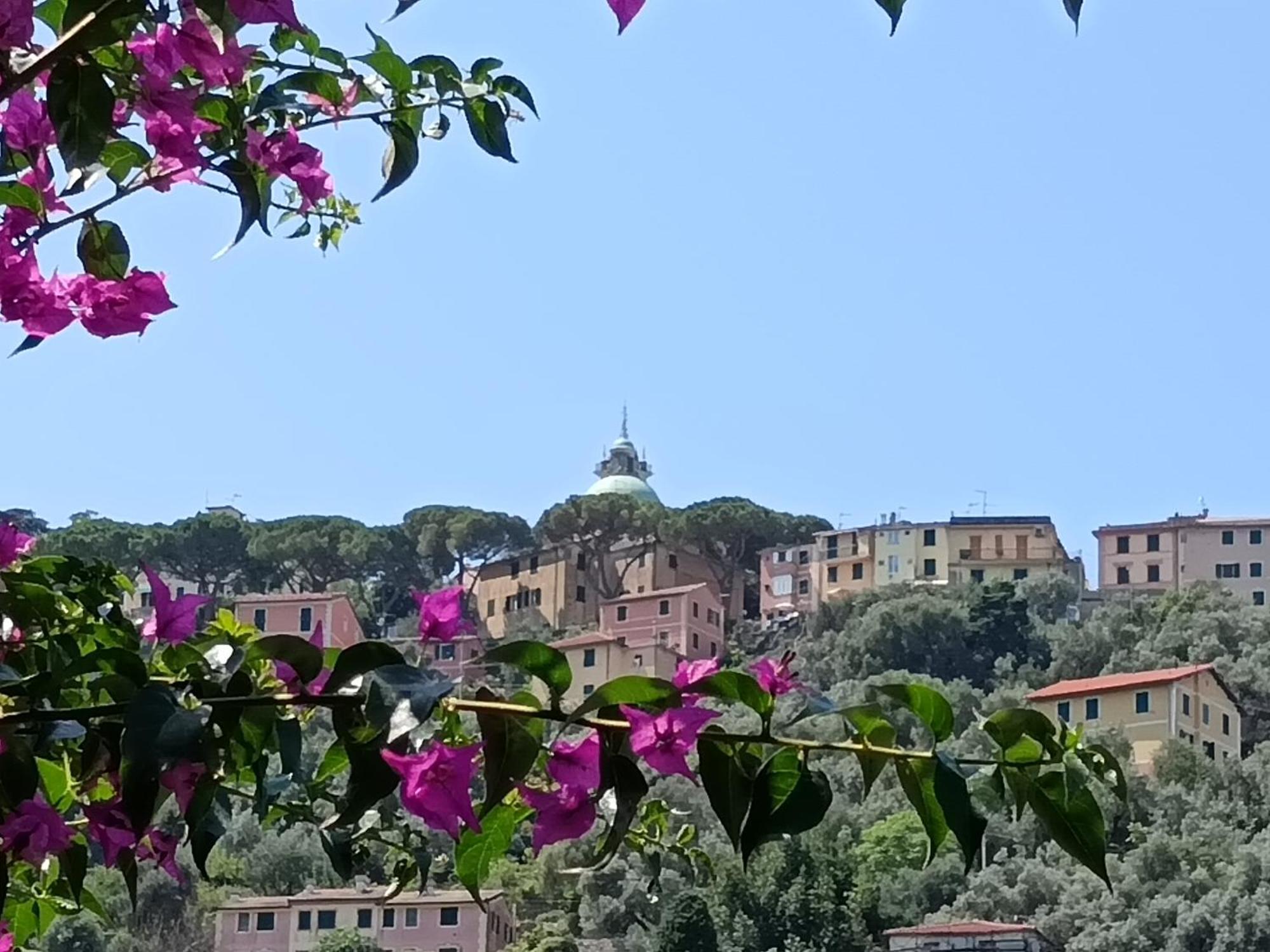 Villa Albachiara Camogli Eksteriør bilde