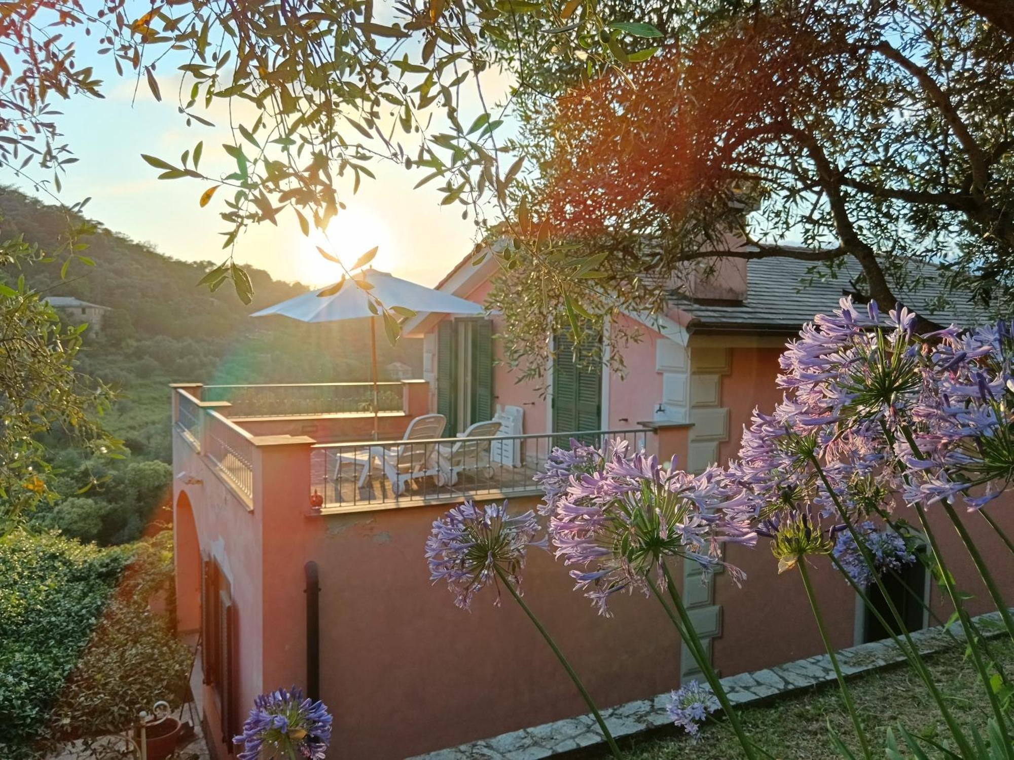 Villa Albachiara Camogli Eksteriør bilde