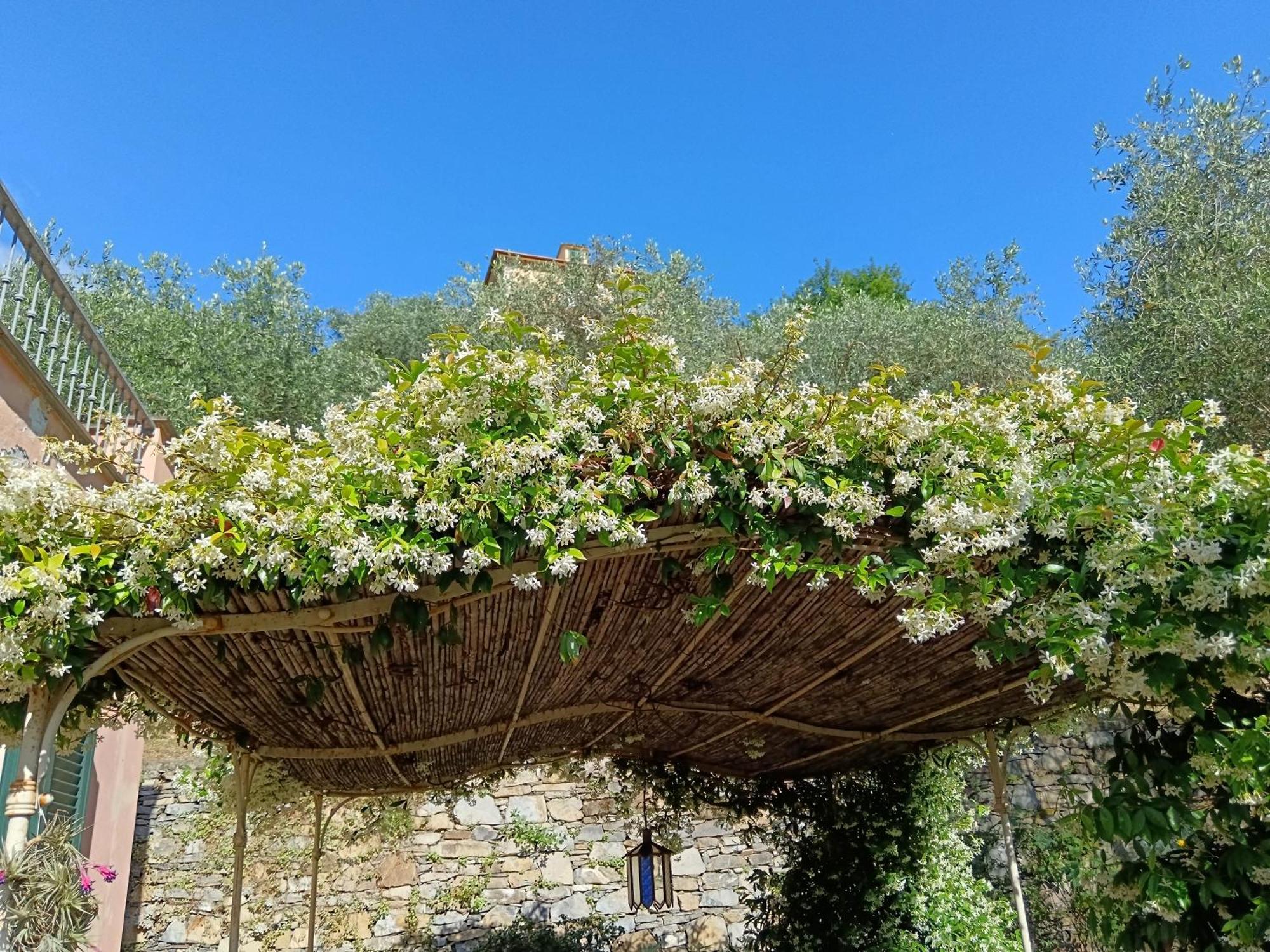 Villa Albachiara Camogli Eksteriør bilde