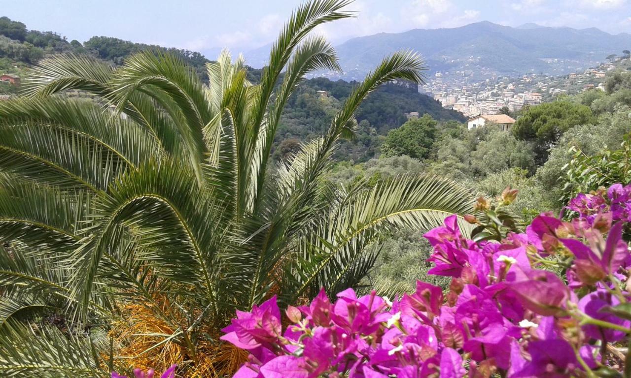 Villa Albachiara Camogli Eksteriør bilde